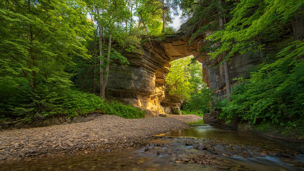Natural Bridge Zoo: What Visitors Should Know Before You Go