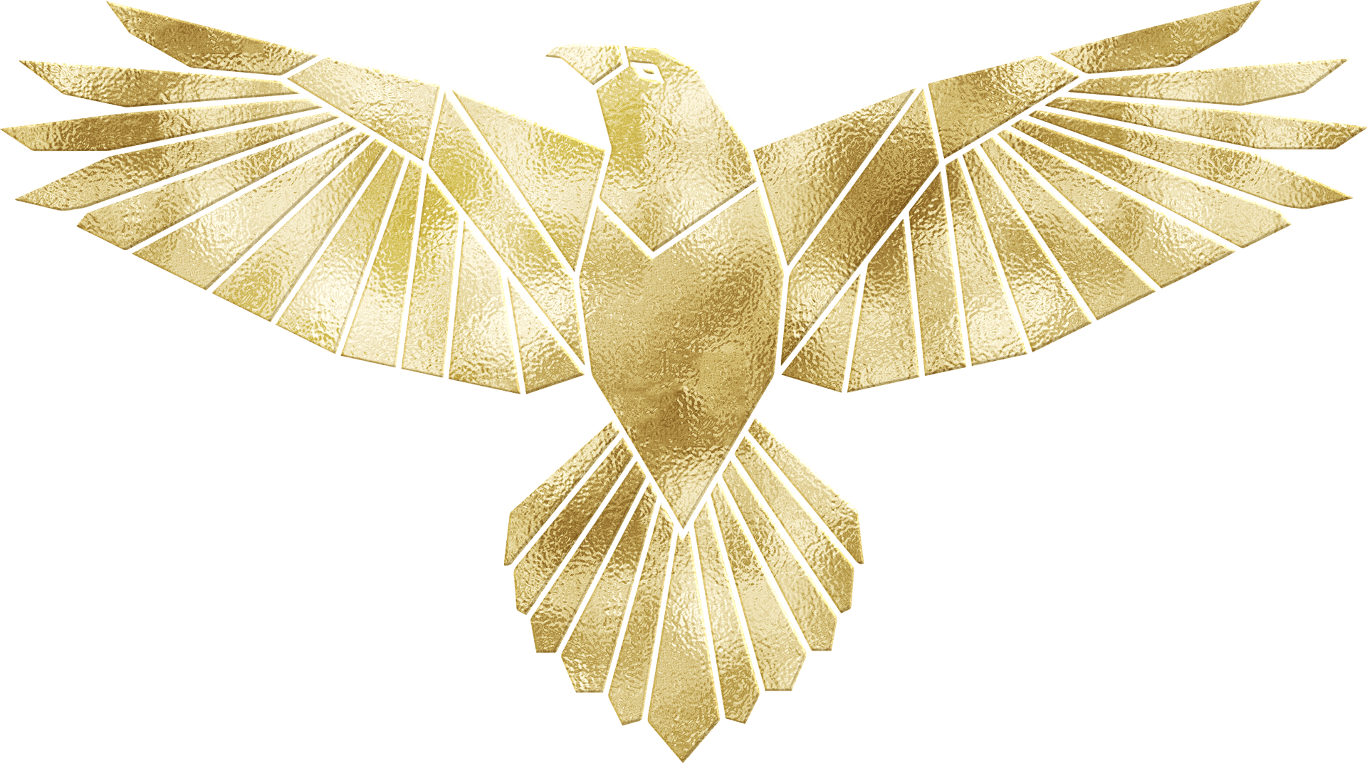 [Trends] Foil wings