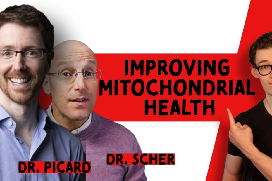 Healthy Mitochondria