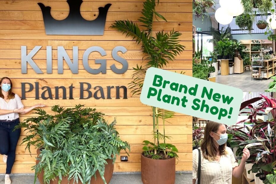 Kings Plant Barn Lunn Ave