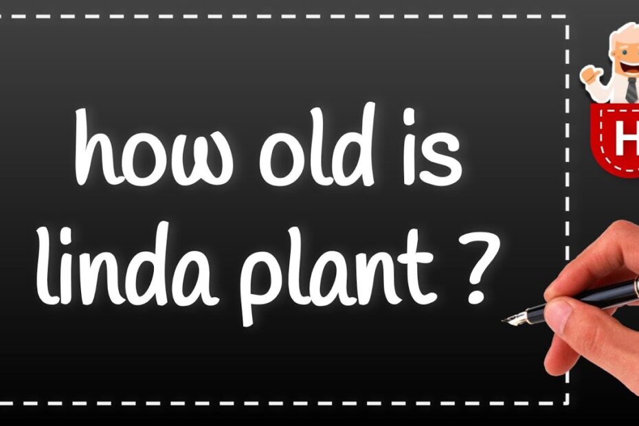 Linda Plant Age