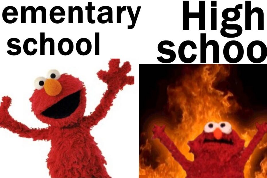 School Memes