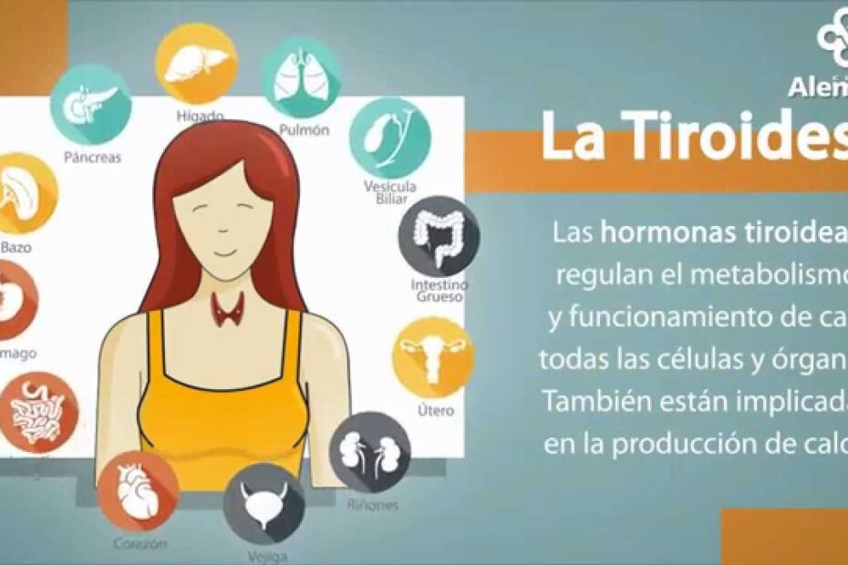 Cuáles son los síntomas de tiroides