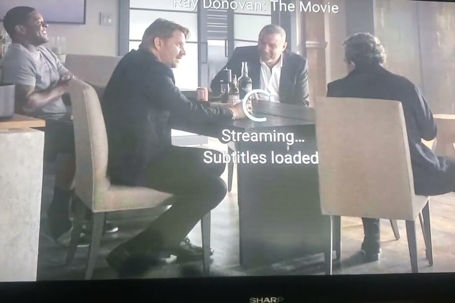 My family cinema review