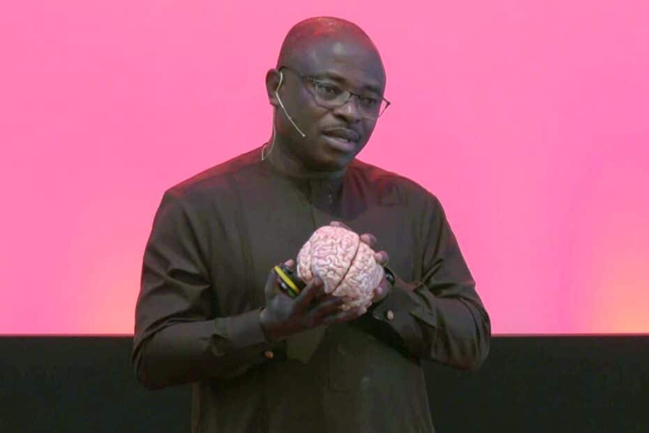 Neuroeducation