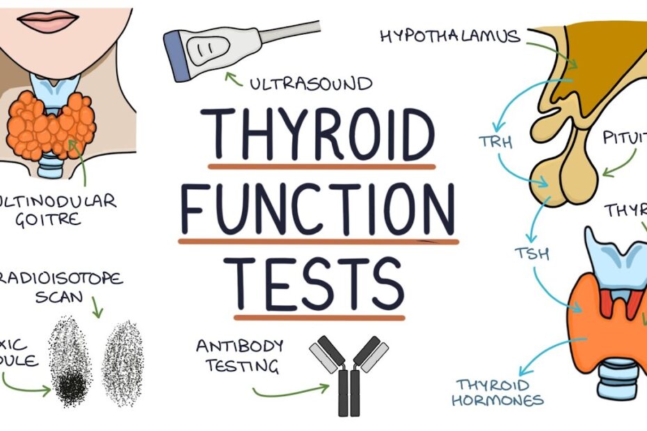 Thyroid function test normal values