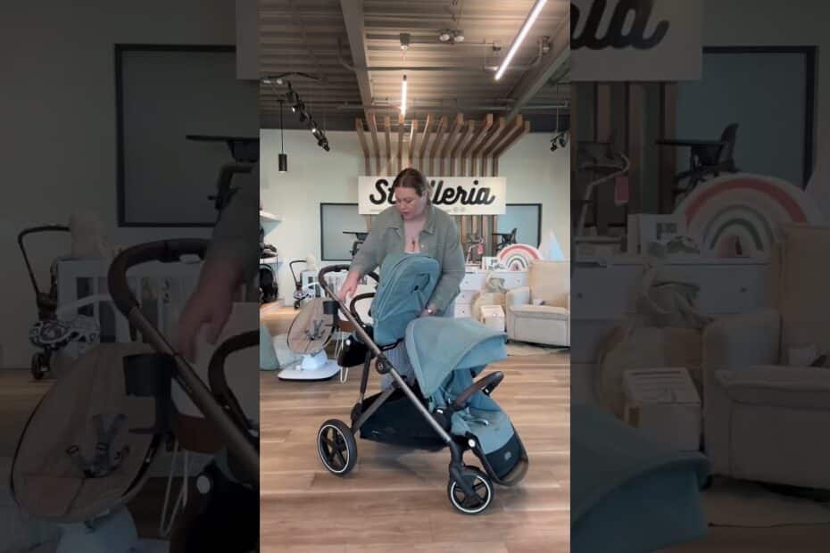 Cybex gazelle