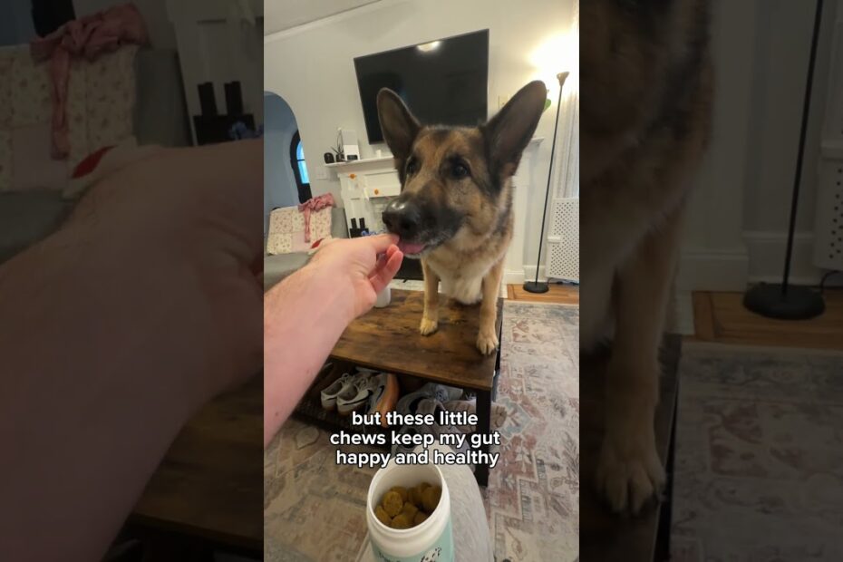 Pawfy