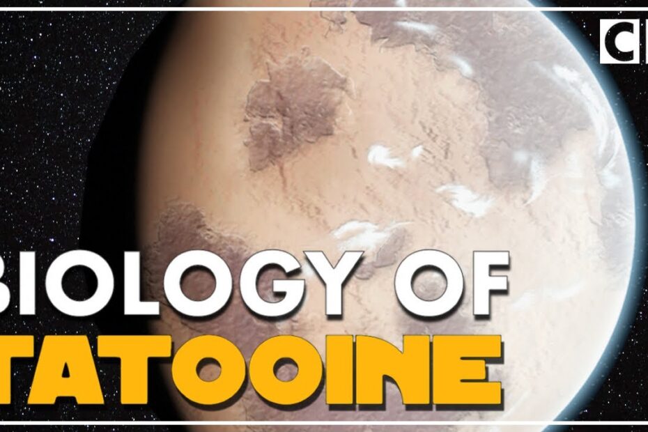 Tatooine Species