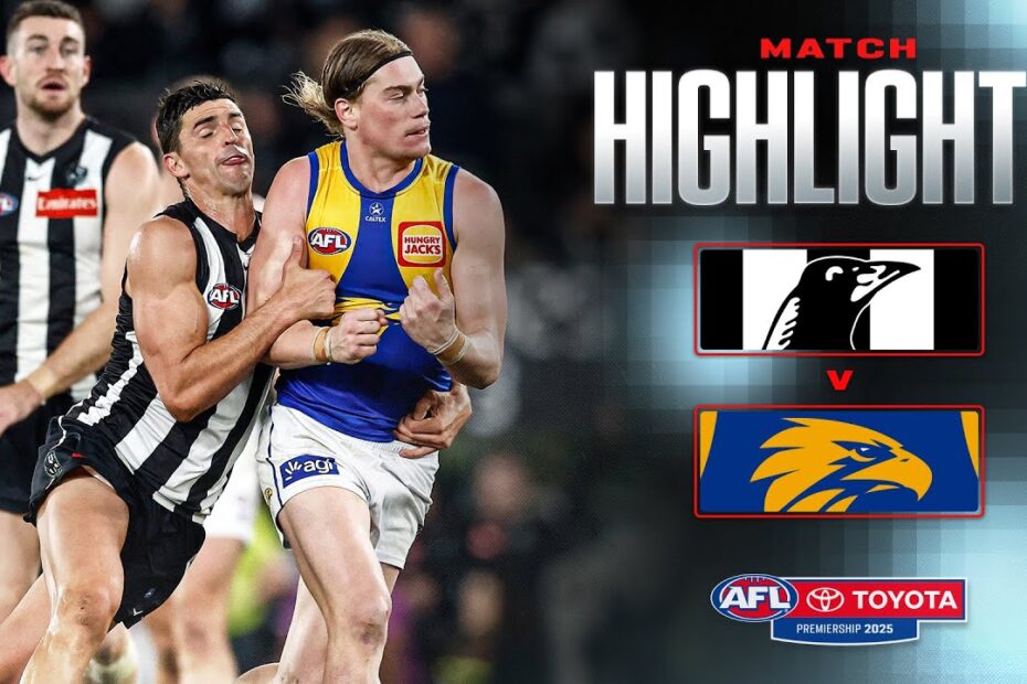 Collingwood Game Today