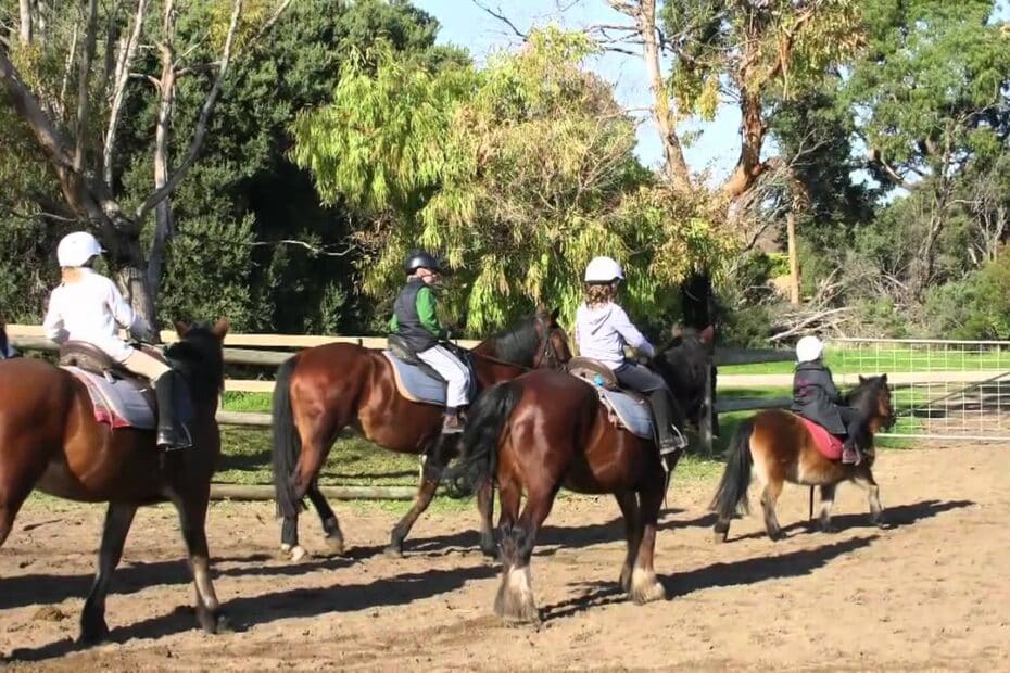 Gunnamatta Trail Rides