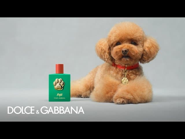 Pet perfumes