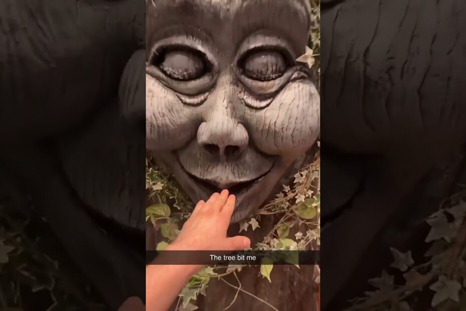 They Took All The Trees And Put Them