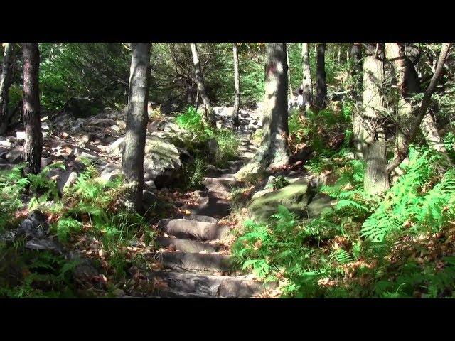 1000 Steps Trail